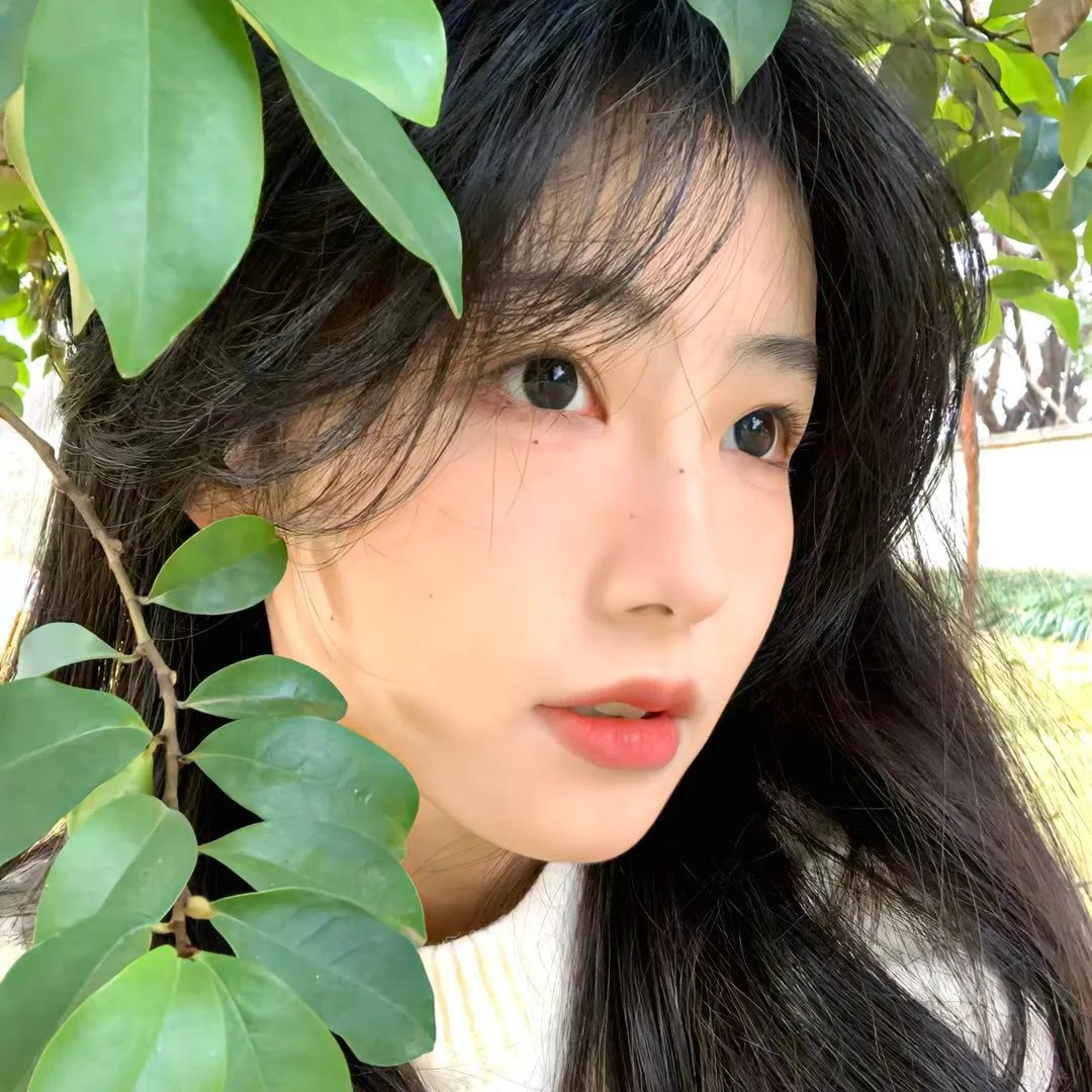 新辣妈辣妹
