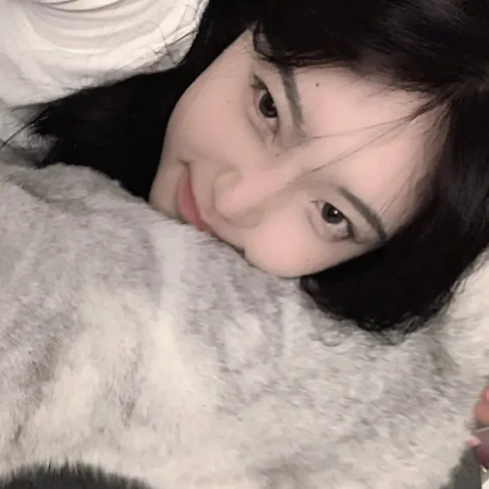 美洲狮公司